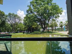 -湖泉水云间餐厅·弥勒地道菜(B座店)