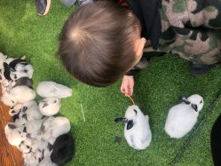 -萌宠亲子动物乐园(槐房万达店)