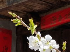 -南窖乡水峪村山情农家