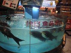 -魏铭鱼头捞饭(晋阳路店)