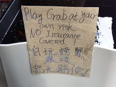 玩螃蟹的后果-龙海鲜螃蟹王(宏茂桥店)