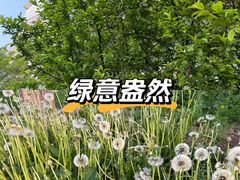 -锦屏家园