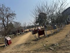 -武汉紫薇都市田园