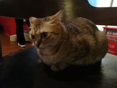 -H立方实景剧情密室(天河旗舰店)