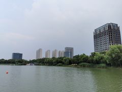 -南翔镇银翔湖公园