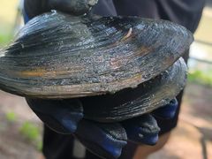 -盐官日光域房车营地·有盐餐厅