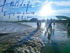 -南汇嘴观海公园