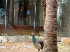 -惠州金海湾嘉华度假酒店