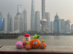 -北外滩滨江绿地