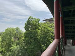 -兰山公园