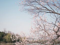-颐和园