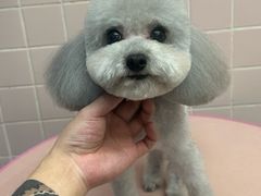 -FAELING PETS美天灵宠物(富力广场店)