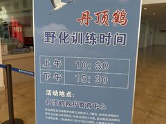 -盐城丹顶鹤湿地生态旅游区