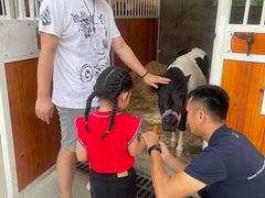 -名驭国际马术学院