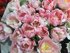 -双季花艺园艺市场(浦东店)
