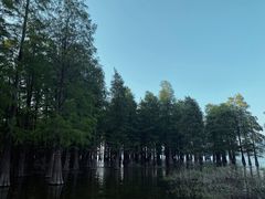 -小时候焗海鲜(鄞州万达店)