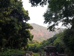 -月亮湾公园