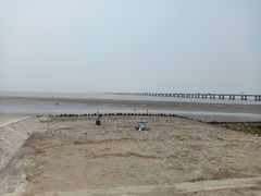 -南汇新城海滩