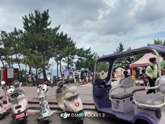 -养马岛旅游度假区