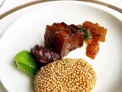 红烧肉鱼唇-苏浙总会(国金中心店)