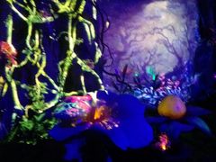 -祥源·阜阳生态乐园