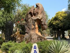 -云南勐巴娜西珍奇园