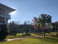 -云南滇池花园国际大酒店温泉