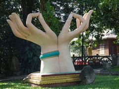 景点-瑞丽独树成林风景区