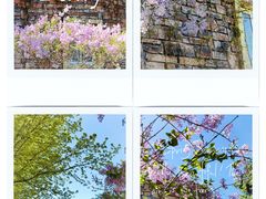 -北京国际鲜花港