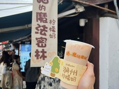 -猫的魔法密林(衣裳街店)
