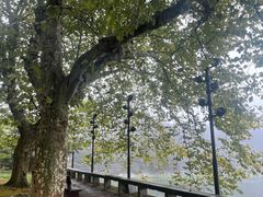 -庐山风景区花径公园