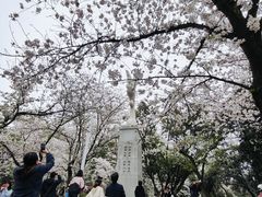 -武汉大学-樱园