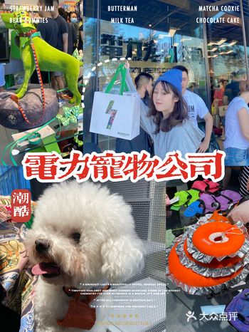 魔都宠物潮店|電力宠物公司前滩店开业啦