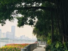 -南宁南湖公园