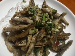 -全乐鱼馆·淳牌有机鱼直营店