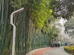 -西安市长乐公园