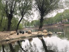 -石家庄市动物园