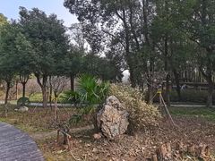 -东湖落雁景区