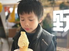 -野人先生Gelato(上海长宁龙之梦店)