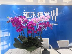 -雍禾植发全国连锁