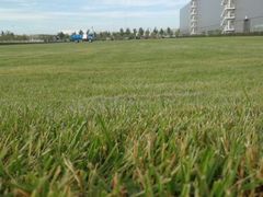 -华晨宝马铁西工厂