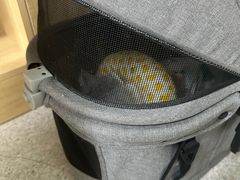 -谐和贝康宠物医院24小时·宠保定点(急重症转诊中心)