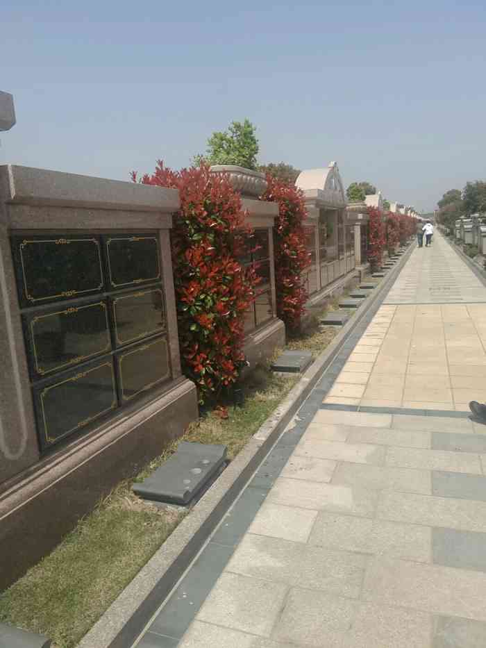 上海南汇长桥山庄-"大家懂的,清明和冬至来的比较多,虽然大家.