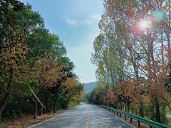 -南京市无想山景区