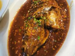 -半岛公馆(淞兴西路店)