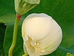 -南戴河国际娱乐中心