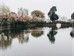 -无锡蠡湖国家湿地公园-蠡园