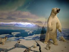 -陕西自然博物馆