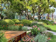 -北外滩滨江绿地