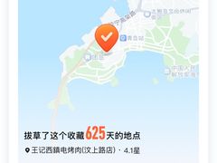 -王记西鎮电烤肉(汶上路店)